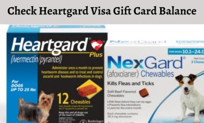 How to Check Heartgard Visa Gift Card Balance